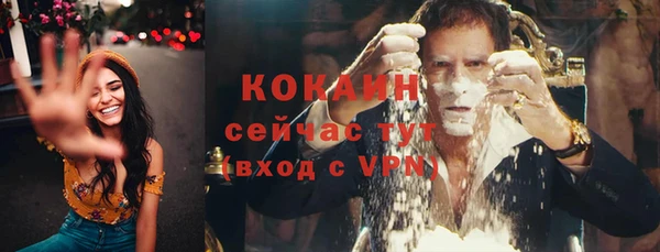 ГАЛЛЮЦИНОГЕННЫЕ ГРИБЫ Гусев