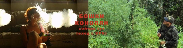 ГАЛЛЮЦИНОГЕННЫЕ ГРИБЫ Гусев