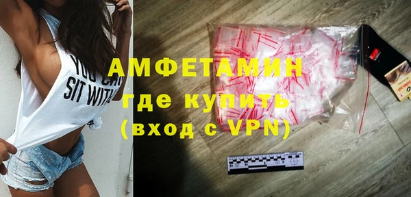 ГАЛЛЮЦИНОГЕННЫЕ ГРИБЫ Гусев