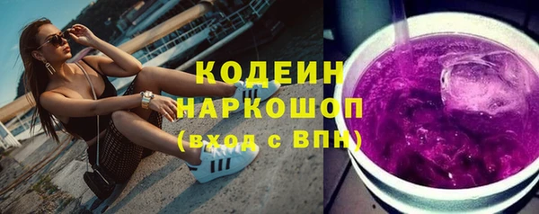 ГАЛЛЮЦИНОГЕННЫЕ ГРИБЫ Гусев