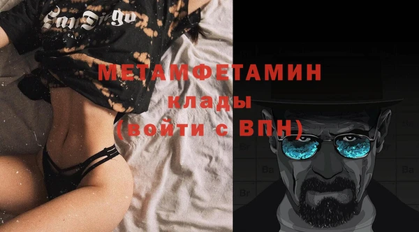 ГАЛЛЮЦИНОГЕННЫЕ ГРИБЫ Гусев