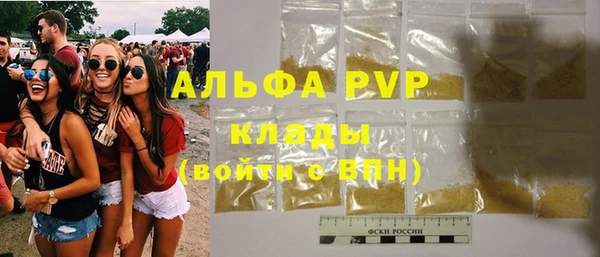 ГАЛЛЮЦИНОГЕННЫЕ ГРИБЫ Гусев