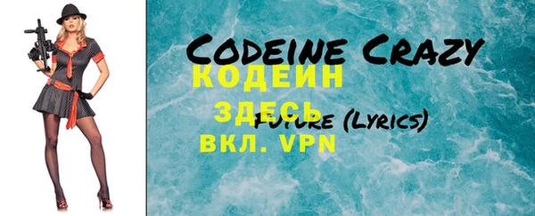 ГАЛЛЮЦИНОГЕННЫЕ ГРИБЫ Гусев