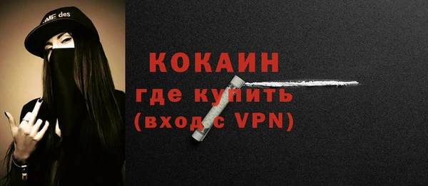 ГАЛЛЮЦИНОГЕННЫЕ ГРИБЫ Гусев