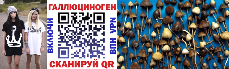 Галлюциногенные грибы Cubensis  Купить где  Нязепетровск 
